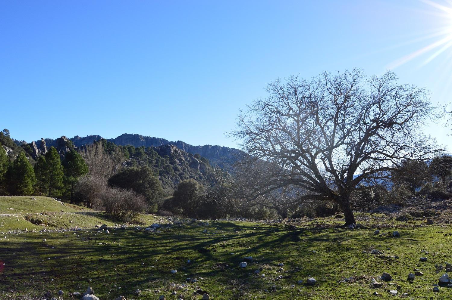 Vivienda Rural El Penon De Los Primillas La Iruela Exteriér fotografie